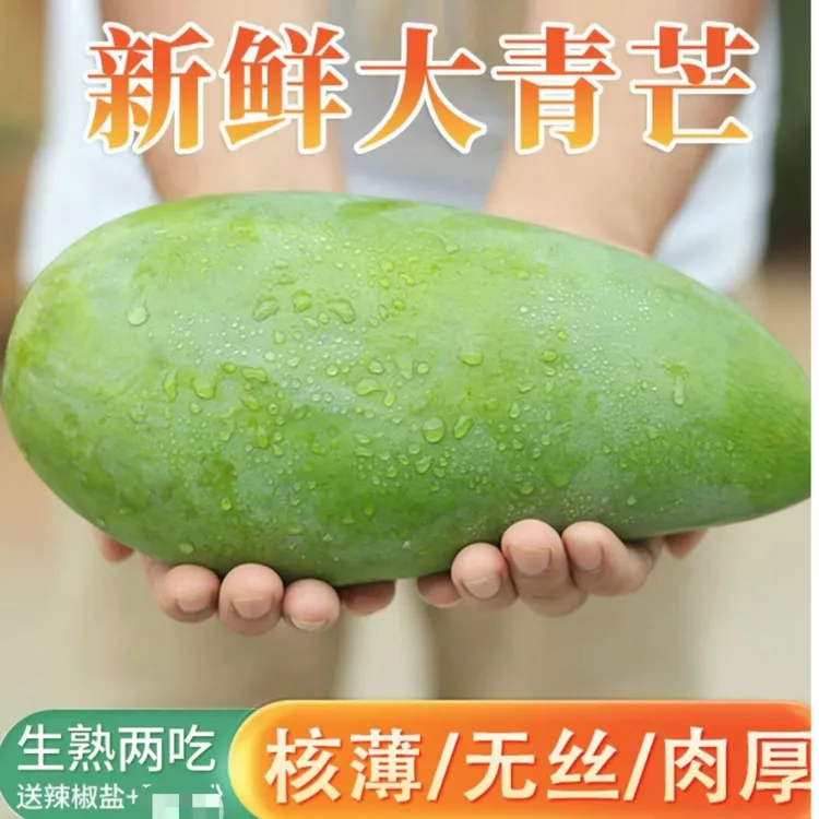 精选大青芒凯特金煌芒果干新鲜脆爽口孕妇果多汁肉厚核薄香甜水果