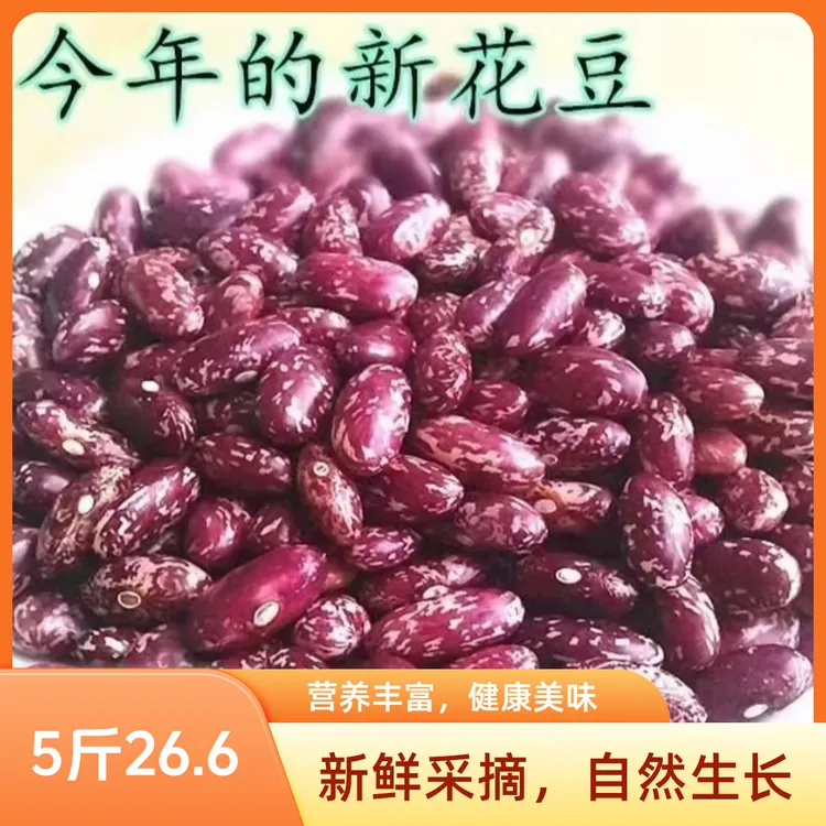 包邮新紫花芸豆五斤包邮饭豆腰豆花芸豆玉米碴子正宗五谷杂粮