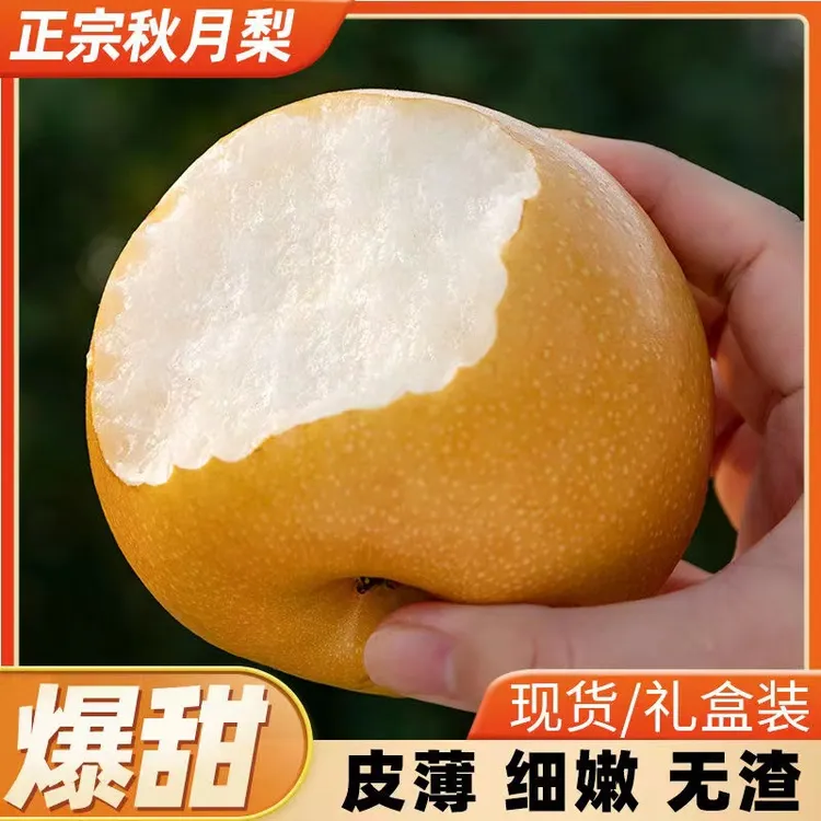 正宗山东烟台莱阳秋月梨脆甜多汁细腻无渣现采现发净重4.5斤