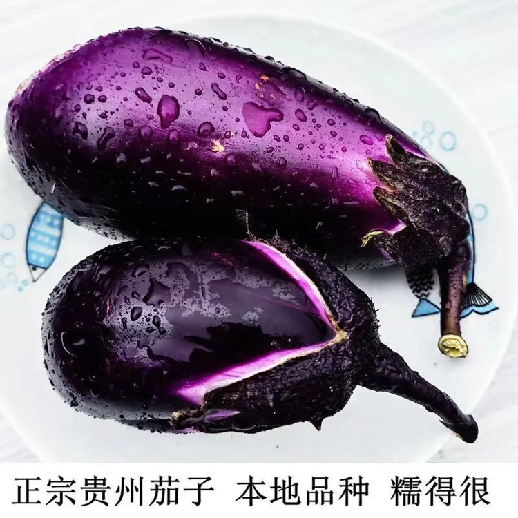 【顺丰包邮】贵州高山农家自种老品种椭圆新鲜紫皮茄子（略带花皮）