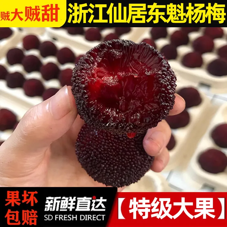 正宗仙居东魁杨梅杨梅新鲜应季水果整箱顺丰现摘现发氮气颗粒包装