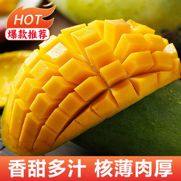 【芯芯专属】金煌芒现摘青芒当季新鲜水果整5斤 青皮芒果甜心芒