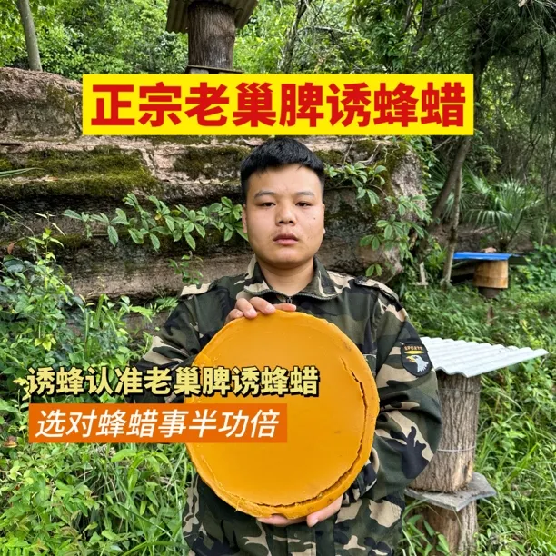 正宗蜂蜡诱蜂蜡老巢脾诱蜂蜡天然土蜂蜡清香
