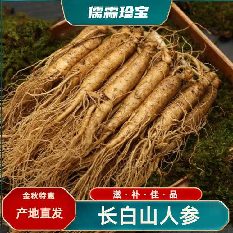 【金秋带土鲜参】长白山鲜人参（单支净重 20 克） 产地新鲜发货