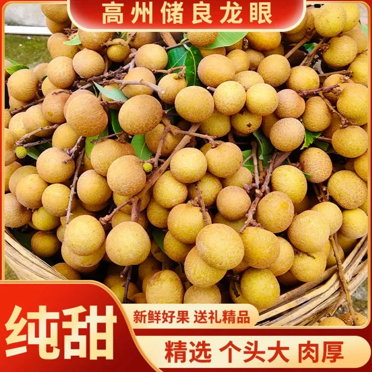 【产地直发】广东高州储良龙眼新鲜现摘肉厚多汁香甜脆口大大果