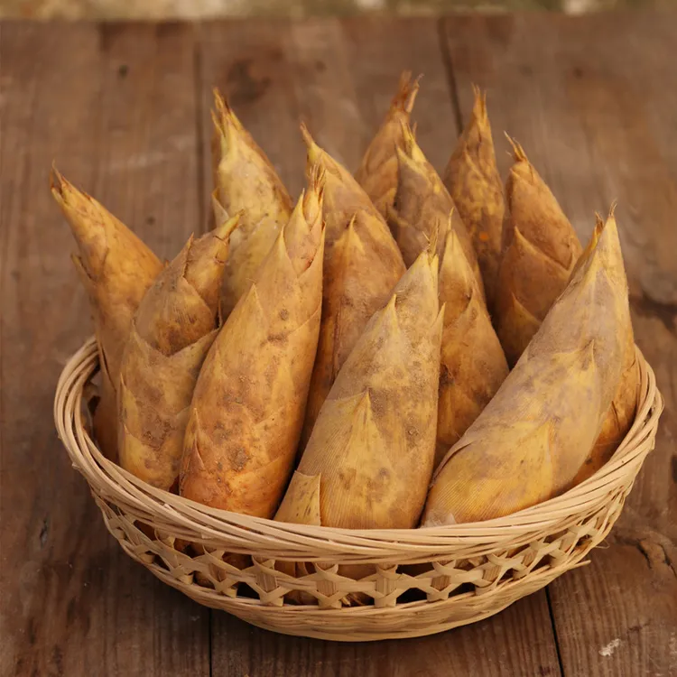 浙江大冬笋5斤临安楠竹笋大鲜笋肉厚脆鲜嫩饱满3斤新鲜2斤商品图