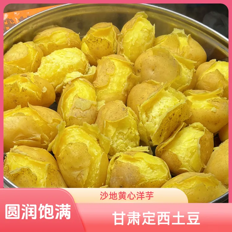 甘肃定西土豆9斤现挖沙地黄心洋芋马铃薯黄皮5斤沙面细腻新鲜蔬菜