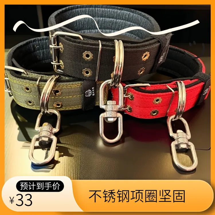 双排加厚防磨大狗脖套项圈带不锈钢8字转环防绕大型犬专用项圈