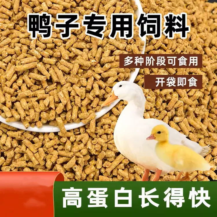 家禽饲料出壳大种白番鸭苗专用