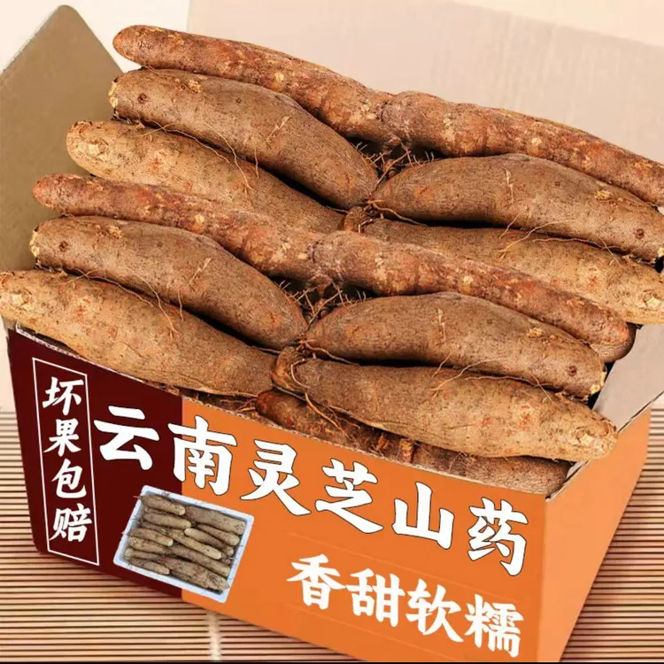 【灵芝山药】精选云南正宗灵芝山药 现挖现发 坏果包赔5斤.9斤包邮