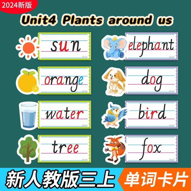 2024新版人教小学英语四线三格单词卡片五六三年级上册公开课教具