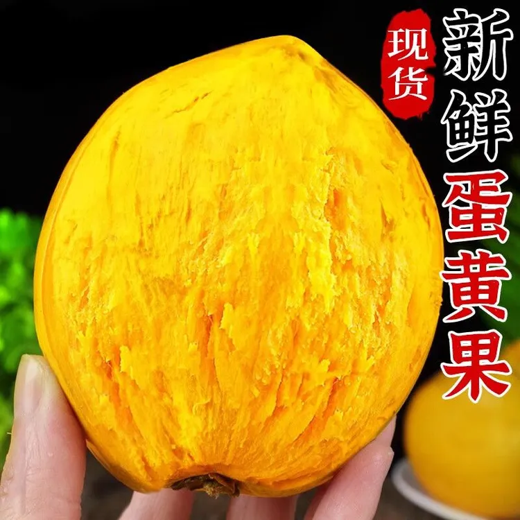 云南西双版纳鸡蛋果新鲜香甜热带水果孕妇可食蛋黄果软糯基地直销