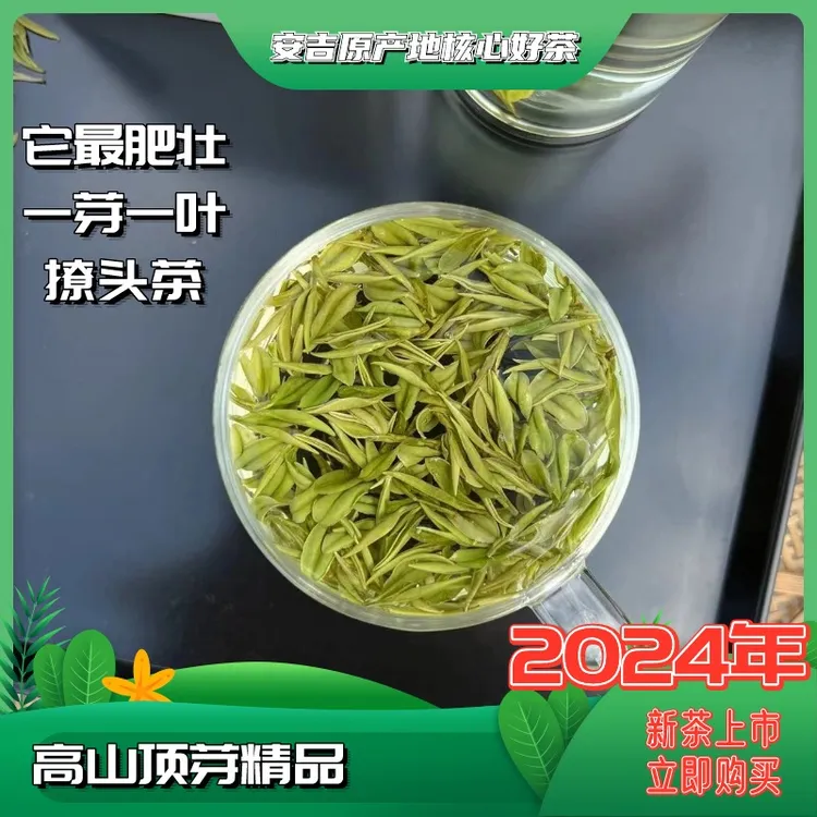 〖竹林肥芽顶芽〗2025年新茶原产地明前头采全芽开山安吉白茶春季