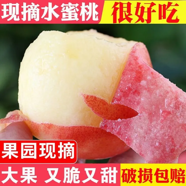 【顺丰包邮】现摘水蜜桃当季新鲜爆汁毛桃油桃孕妇儿童新鲜水果大果