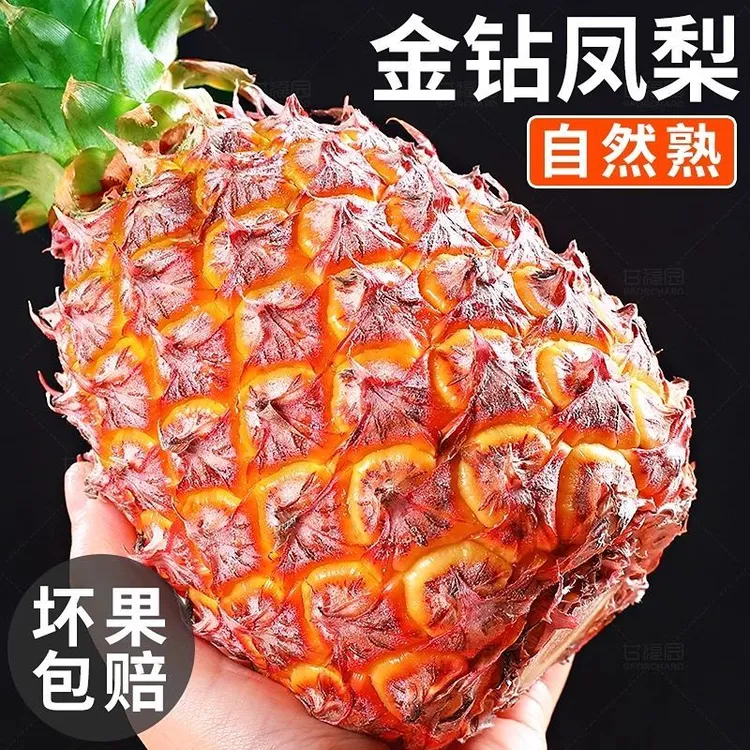 正宗海南金钻凤梨新鲜当季现摘新鲜水果金钻手撕凤梨爆甜大果包邮