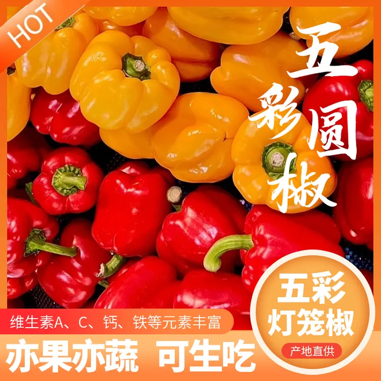 【顺丰包邮】寿光新鲜五彩椒水果维生素C辣椒脆甜低K辅食水果彩椒