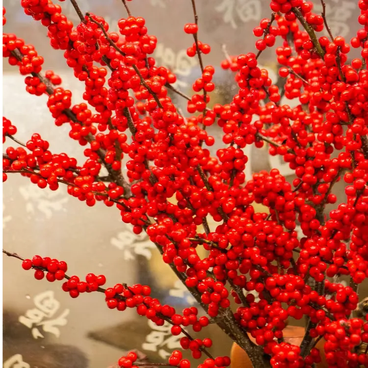 北美冬青红果鲜切枝水培植物鲜花室内鲜切新年年宵花卉真花