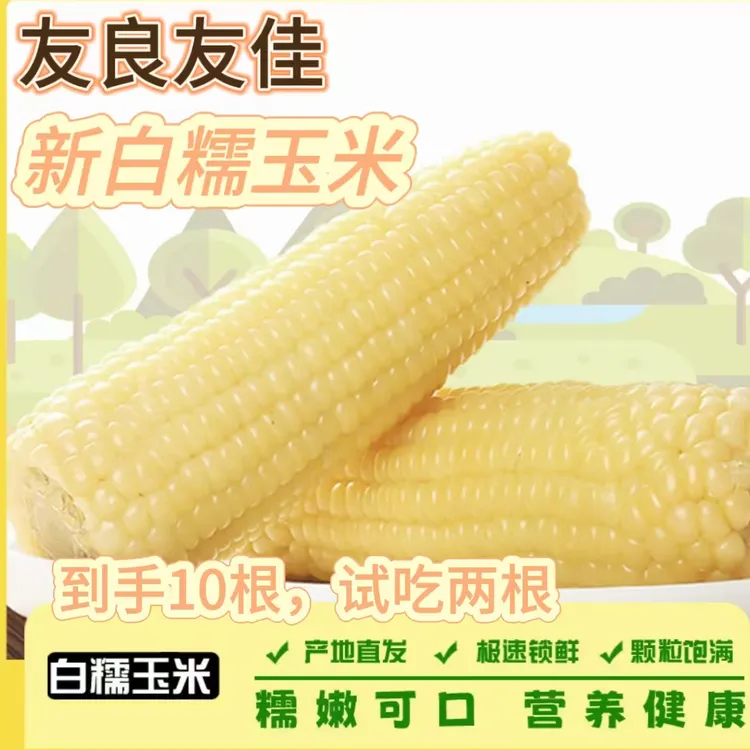【24年头茬试吃两根】东北白糯玉米10支*240g-300g软糯香甜5-5.5斤