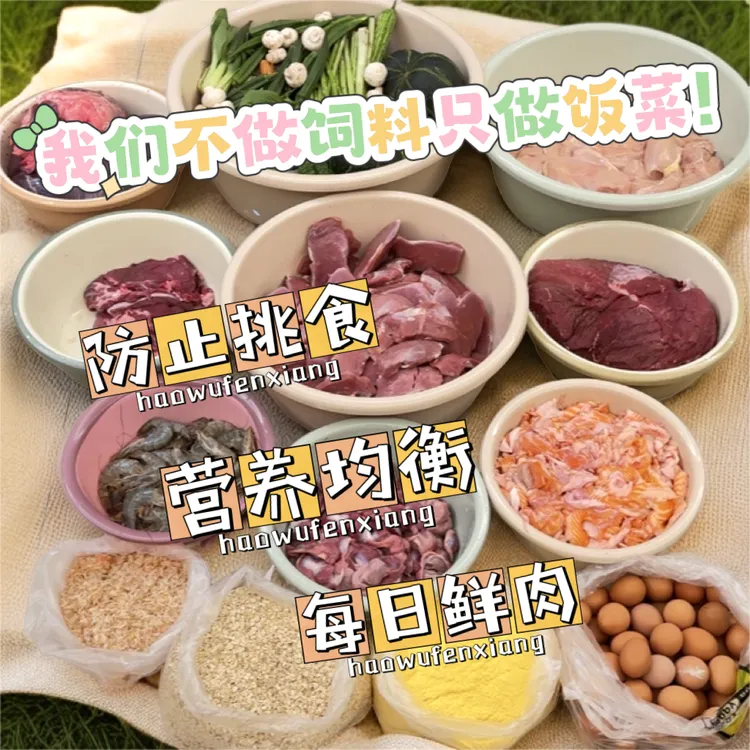 宝石妹妹纯手工自制阶段狗饭鲜肉餐包丸子防止挑食狗狗食用