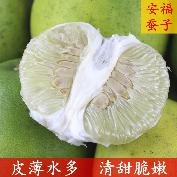 【25年9月新鲜上市】江西特产安福蚕子金兰柚吉安蚕子土柚子包邮