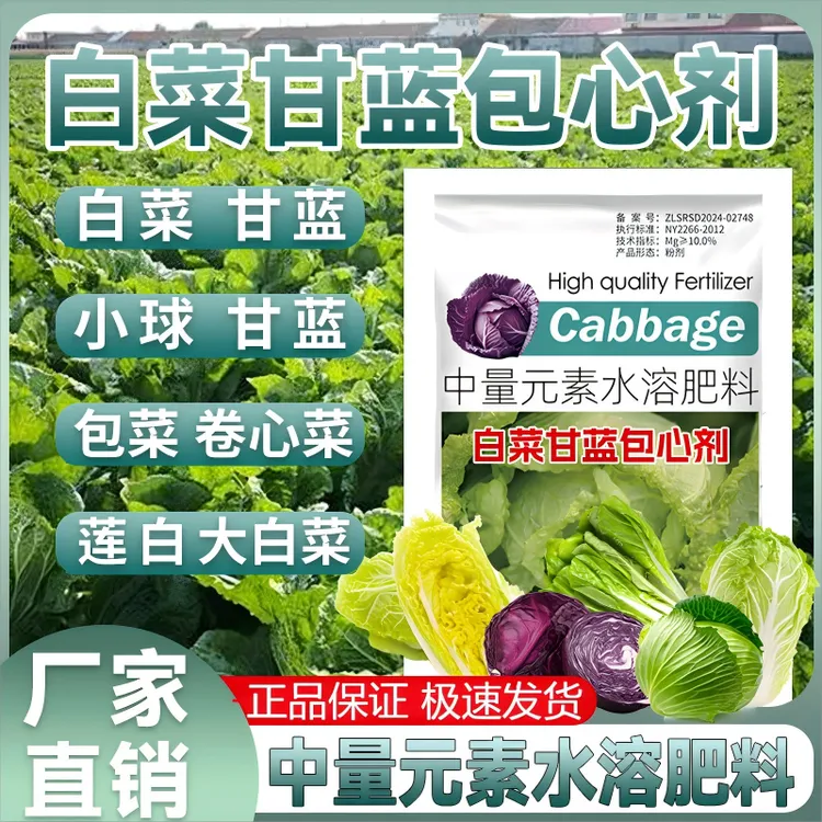 白菜甘蓝包心剂【多买多送】白菜甘蓝卷心菜包菜孢子甘蓝蔬菜种植