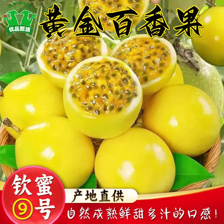 钦蜜9号黄金百香果自然成熟老农精选新鲜香甜多汁产地直供1-5斤装