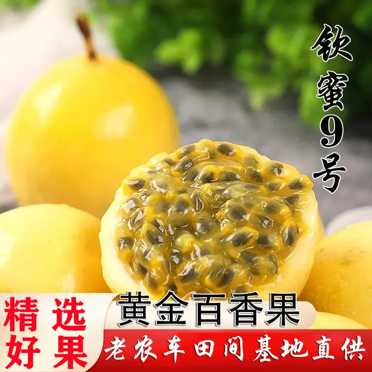新鲜纯香果黄金果广东天然钦蜜9号黄金百香果2斤/3斤产地直供香甜