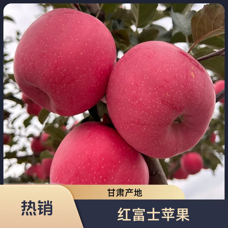 甘肃庄浪红富士苹果皮薄肉厚营养丰富包邮果园直发