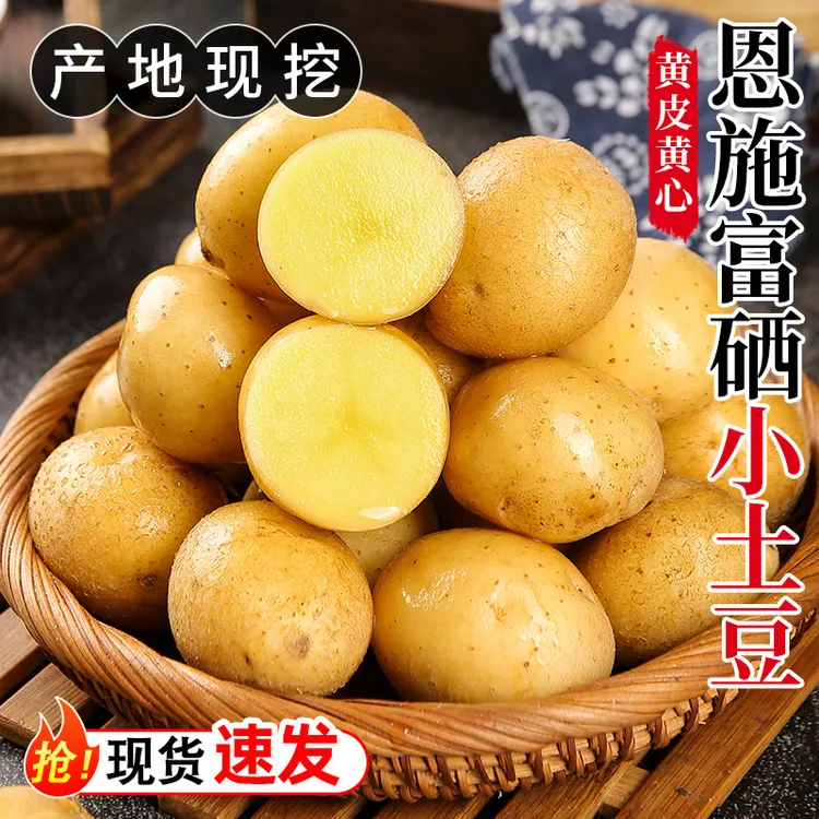 梦三峡恩施小土豆3斤高山新鲜农家现挖黄心湖北马铃薯蔬菜