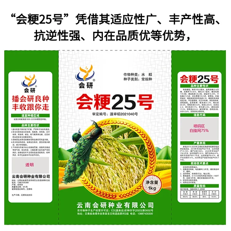 云贵川中高海拔水稻种子旱稻种子会粳25号水旱两用稻常规稻可留种