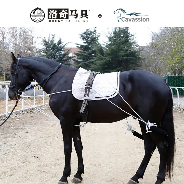 Cavassion洛奇平衡调教绳 平衡调教索 锻炼马匹平衡8218020