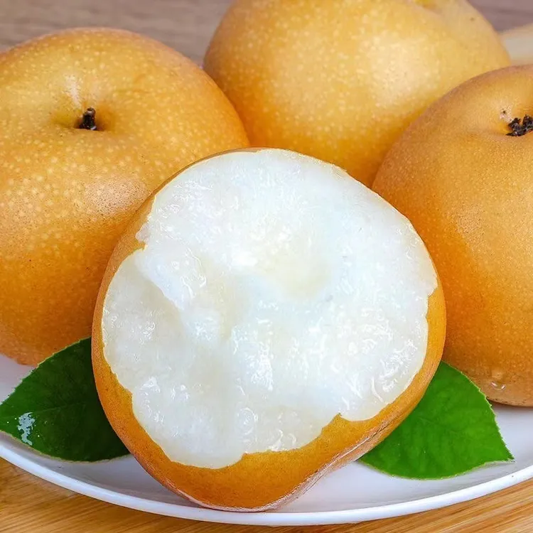 山东正宗秋月梨新鲜采摘4斤装皮薄清甜多汁爽口