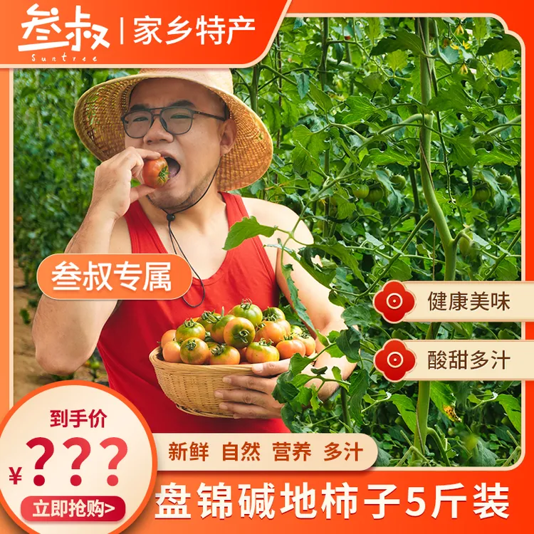 [罢园子回馈]盘锦碱地柿子新鲜水果自然熟5斤现摘现发顺丰包邮