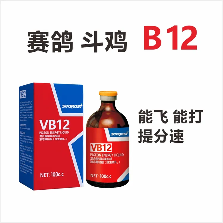 赛鸽B12提速比赛斗鸡鸽子2赛鸽信鸽鸽子比赛能量液