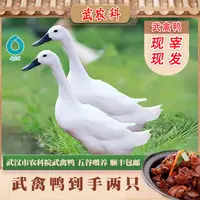 【武农科】武禽黑嘴鸭 买一只送一只 每只净重1.1公斤 红烧炖汤 
