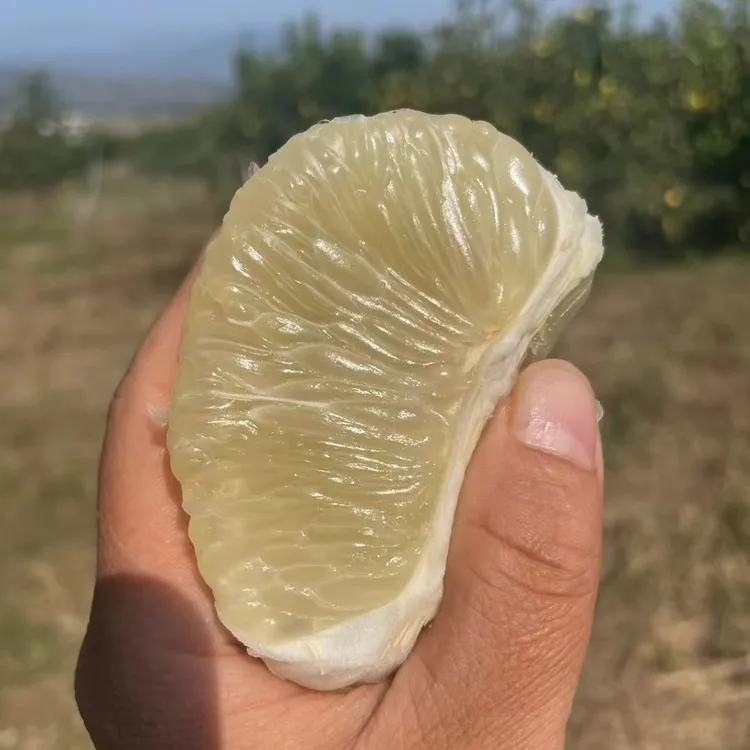 井冈蜜柚安福特产金兰柚子【10斤装】新鲜原生态浓郁多汁甘甜饱满