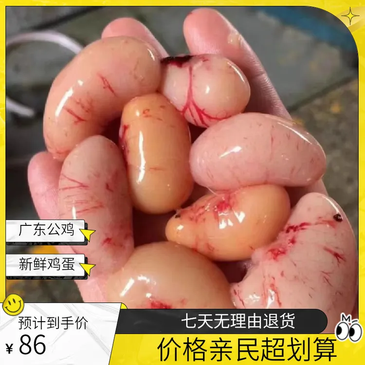 广东三黄公鸡蛋精品大号鸡子鸡肾鸡卵公鸡蛋新鲜腰子鸡腰子