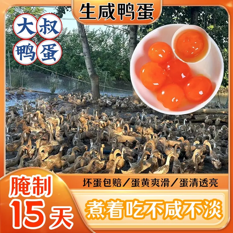 10个传统红泥腌制湖北农家不咸生咸鸭蛋鲜香盐蛋黄起沙不流油营养