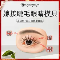 美睫新手练习款式仿真眼模美睫店专用练习打版嫁接睫毛纹绣模型