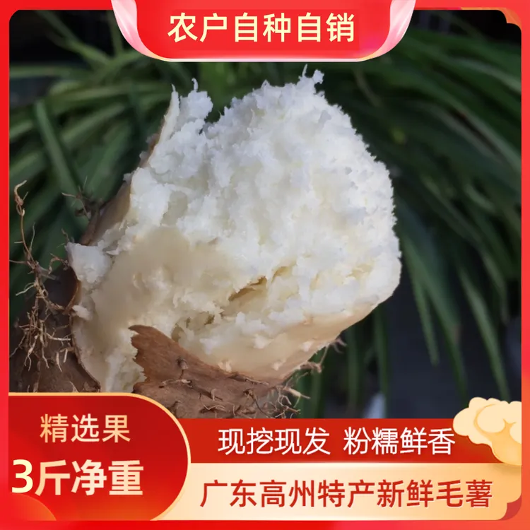 广东高州特产新鲜食用田薯粉香白心毛薯猪仔薯现挖大果包邮3斤5斤