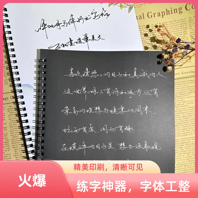 行书字帖楷书练字帖基础入门行楷字帖汉字练字临摹钢笔硬笔练习