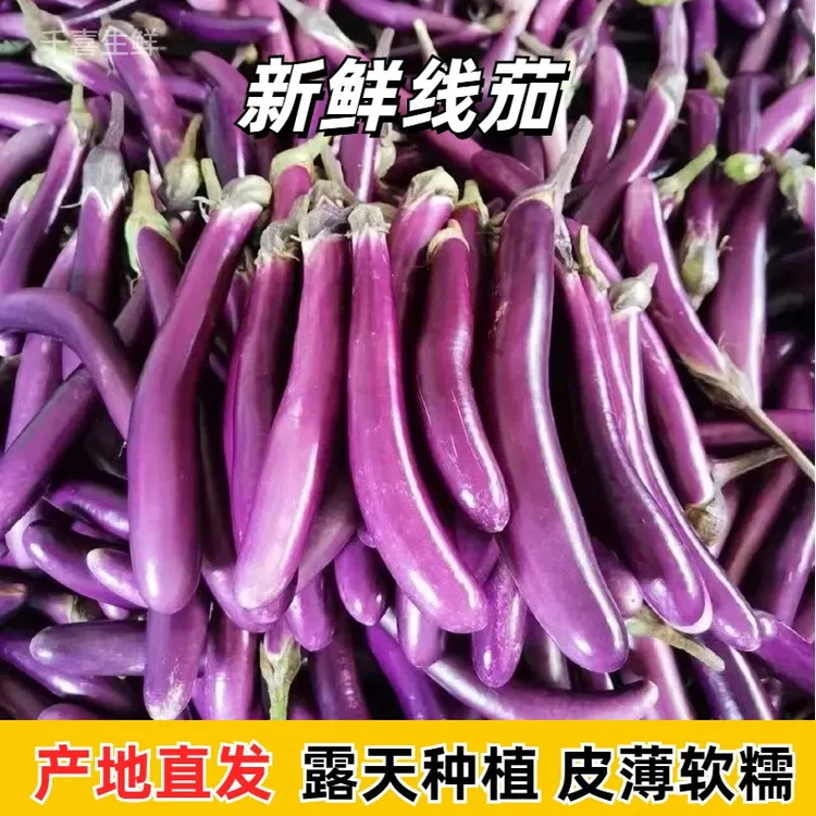 新鲜茄子！线茄长茄杭茄薄皮软糯鲜甜福建漳州农家应季蔬菜