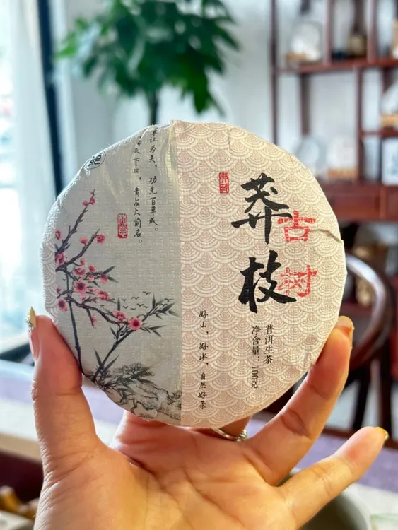 23年莽枝高杆古树纯料头春明前茶普洱生茶100g 