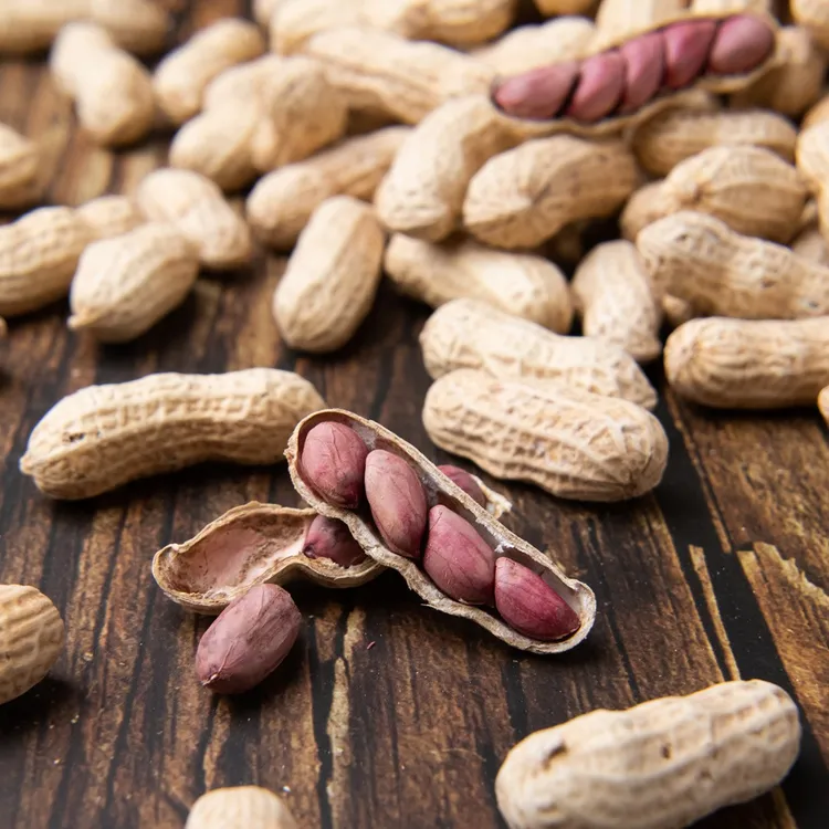 福建特产龙岩花生湿烤花生香酥可口食用农产品1斤/3斤/5斤