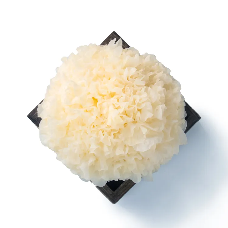 【顺丰京东快递 】 福建古田新鲜银耳大朵银耳活耳鲜菌菇6朵720g