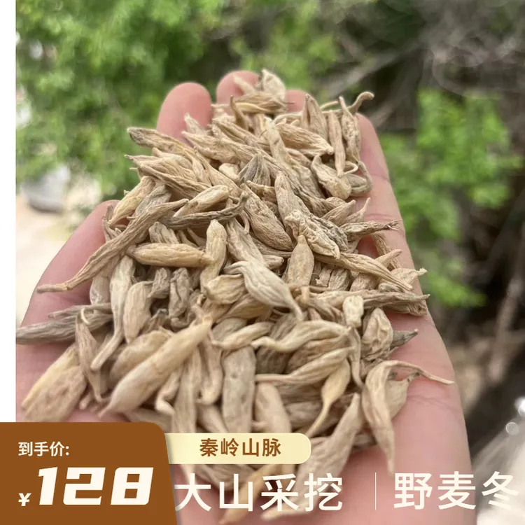 纯野生麦冬 大山里采挖自然晾晒，大小不规则 香味浓郁 煲汤泡水