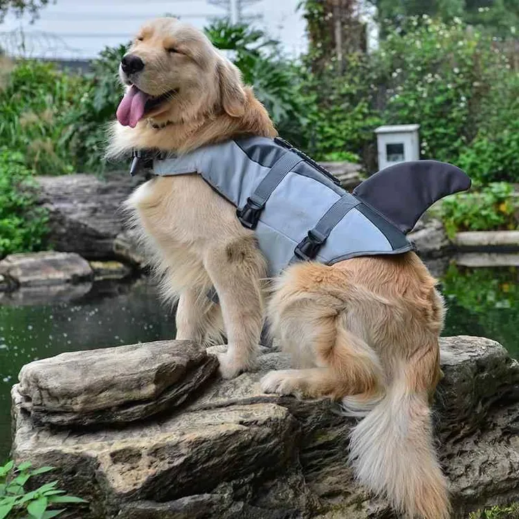 狗狗救生衣宠物鲨鱼卡通游泳浮力衣中大型小犬玩水防溺水安全背心