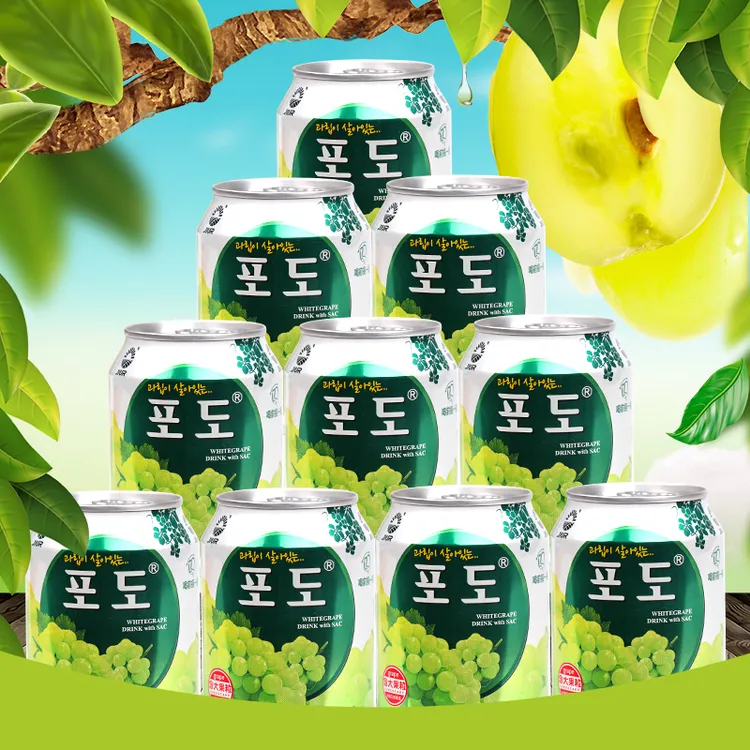 九日牌果肉果汁饮料葡萄多口味238ml*10罐果汁饮料果汁饮料