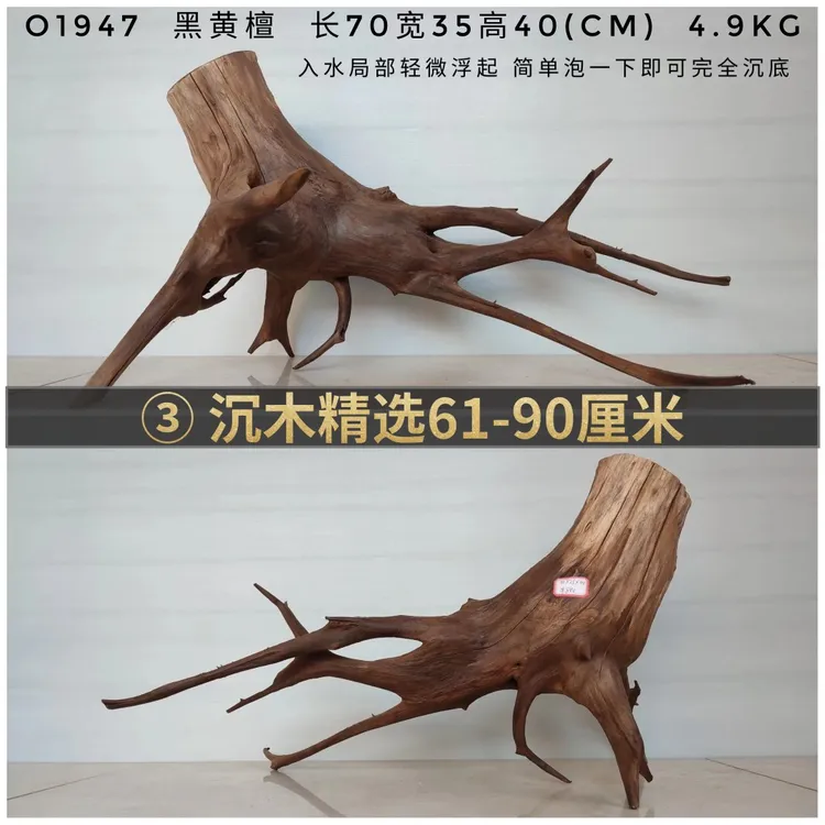 60~90cm鱼缸森林枝条莫斯树桩形沉木乌龟爬台免煮造景南美风装饰