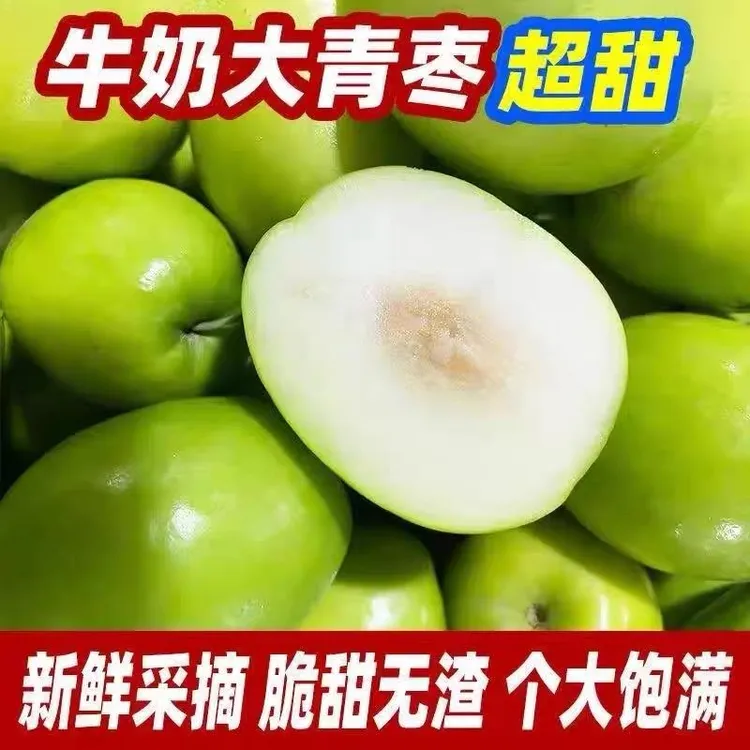 正宗贵妃牛奶大青枣台湾青枣脆甜水果新鲜应季贵妃蜜枣非苹果枣